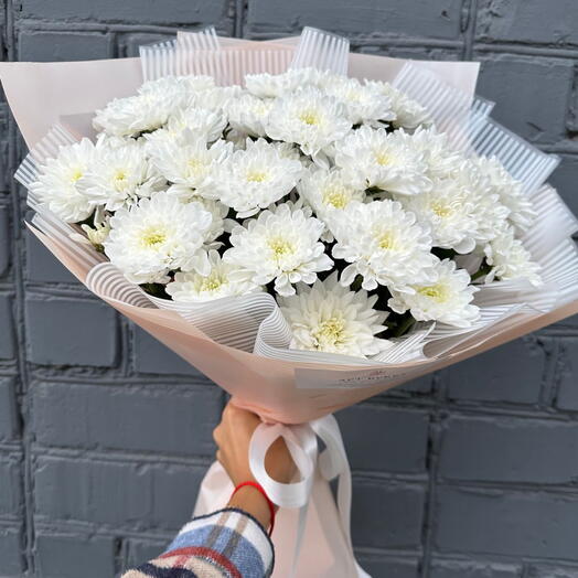 Хризантемы кустовые