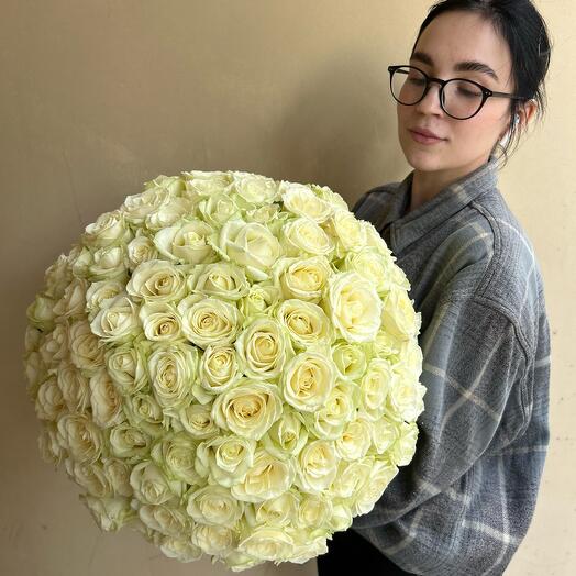 101 белая Роза