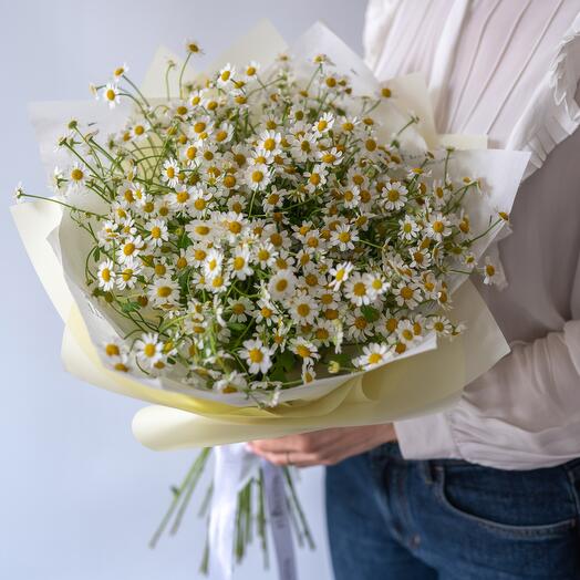 Buket od kamilica (25 pcs.)