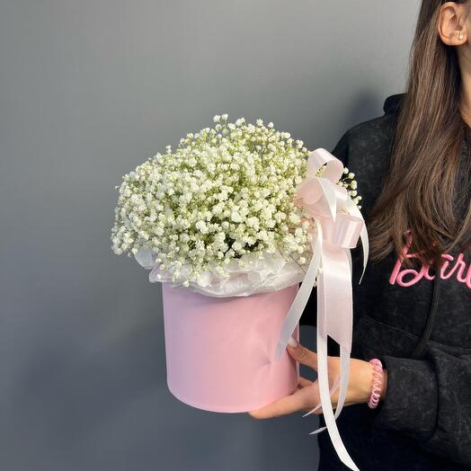 Gypsophila in a box