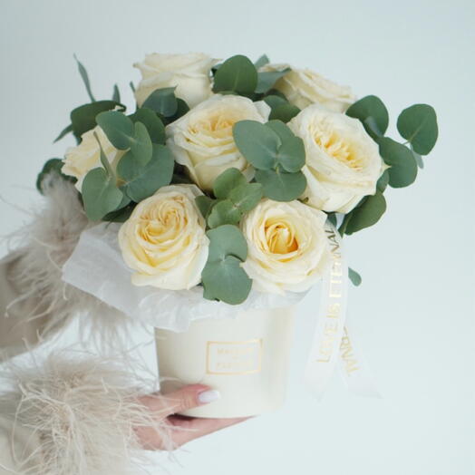 A peony-shaped rose in a hatbox "White Dawn"