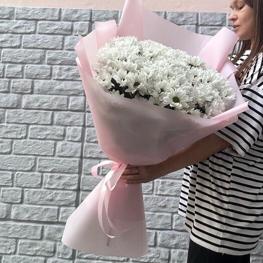 Букет из 15 веток белой ромашковой хризантемы
