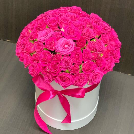 Raspberry Bush Rose