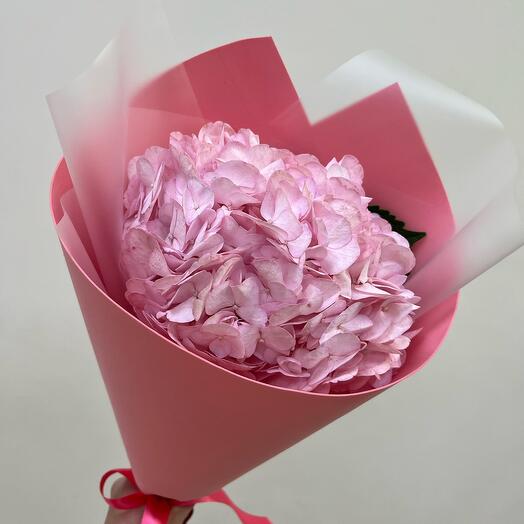Delicate hydrangea