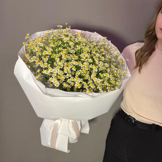 Букет-моно "Полевые ромашки"🌷