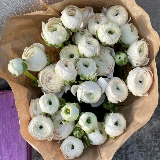 Ranunculus white 25 stems