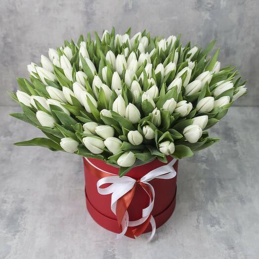 101  White Tulip Box