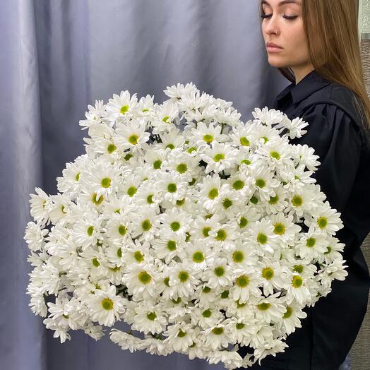 Полевые ромашки