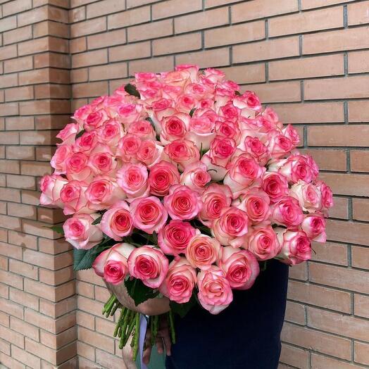 Pink roses jumilia