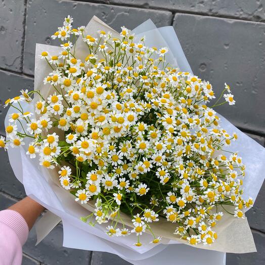 Букет ромашек