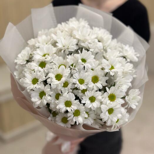 Ромашки белые