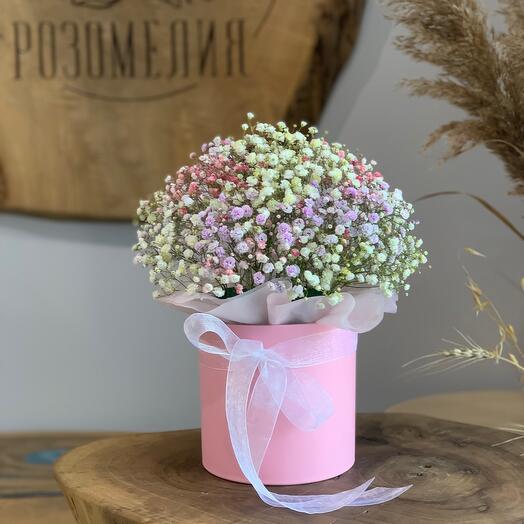 Нежный бокс с гипсофилой