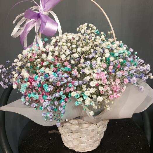 Cesta de gypsophila