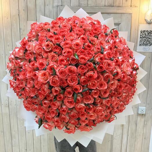 Букет 201 Роза Джумилия