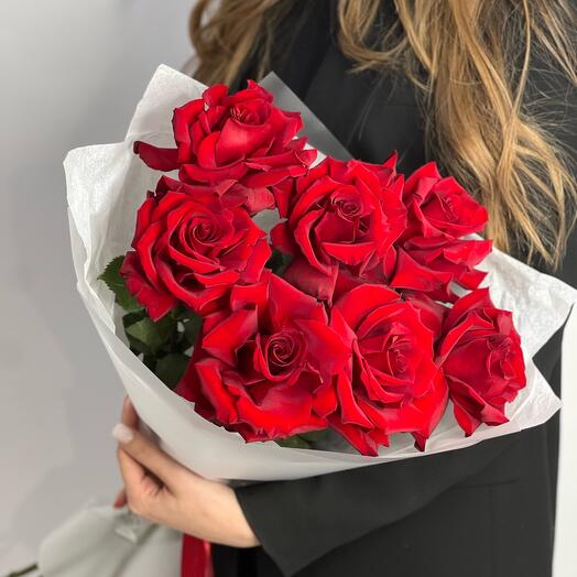 Розы красные 7🌹