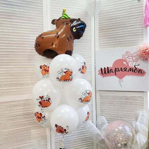 Фонтан "Капибара", 10 шаров