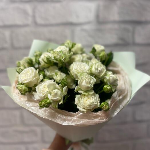Bouquet,, Radiance
