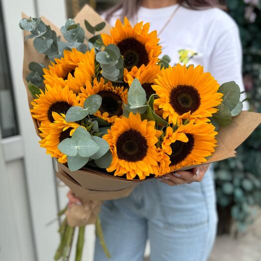 Подсолнух 🌻