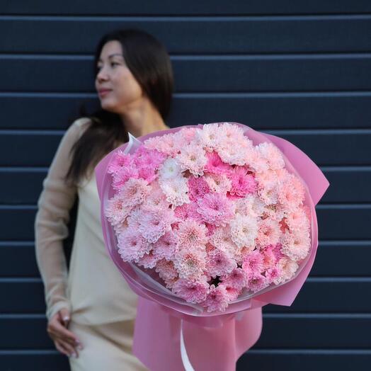 Большое облако из розовых хризантем