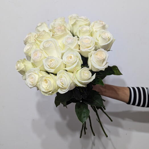 White Rose Bundle Premium