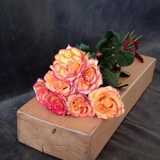 7 premium roses "Haymedjik"