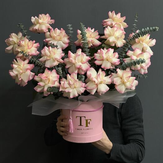 Французская Роза с эвкалиптом в тубусе