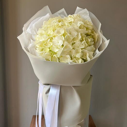 Bouquet of white hydrangea