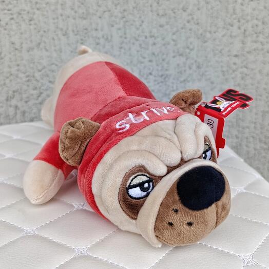 Мопс красный