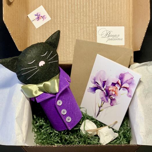 Подарочная коробка с игрушкой мягкой "Кот в костюме", Открытка, конфета, стикер