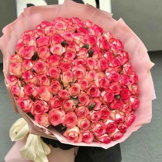 101 roses of Jumilia