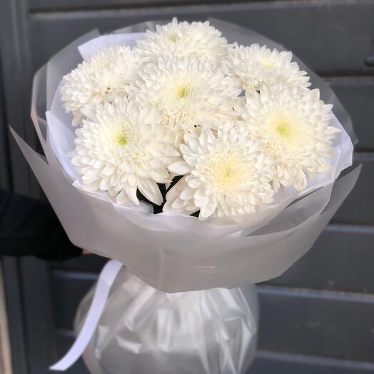 Хризантема