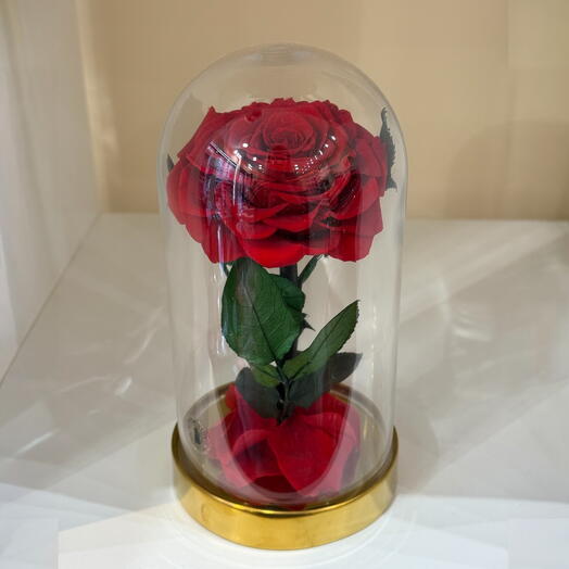 Rose eternelle sous cloche 11*19 cm