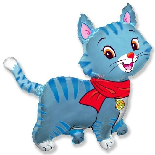 Мой милый котёнок голубой