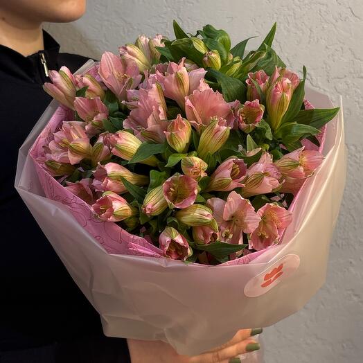 Альстромерии Pink 9