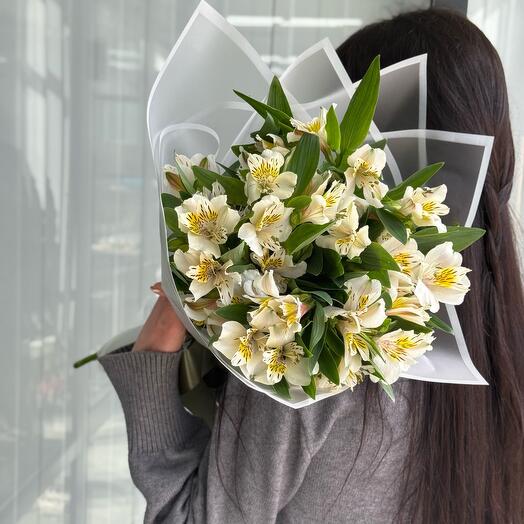 Нежная альстромерия