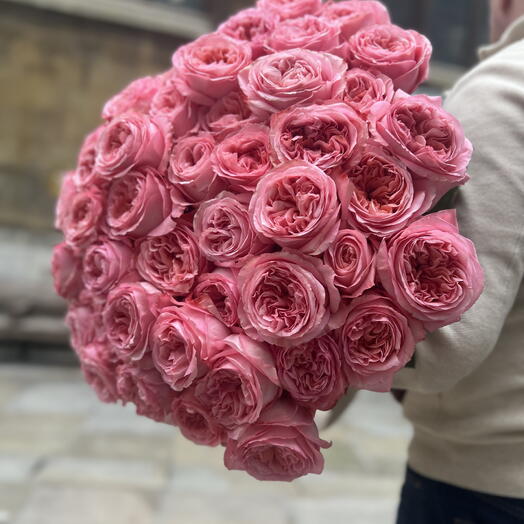 VIP pink roses