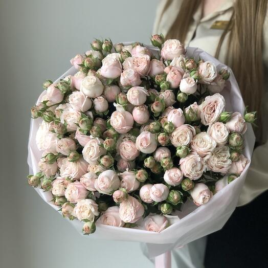Delicate 15 bushy peony-shaped roses