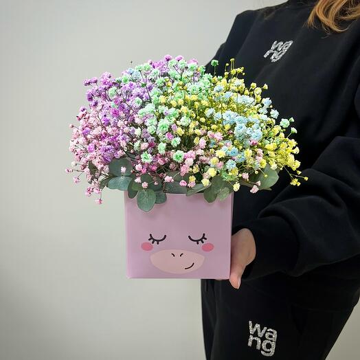 Gypsophila Arcoíris"Unicornio"