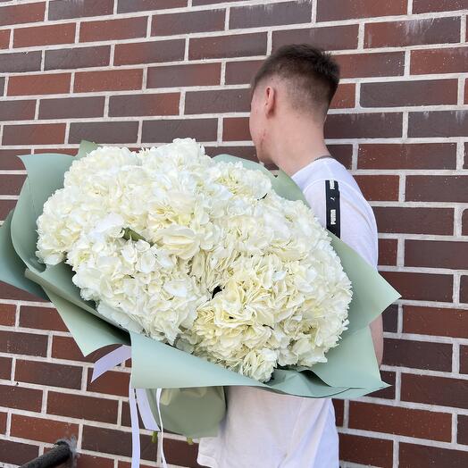 Bouquet of white hydrangea