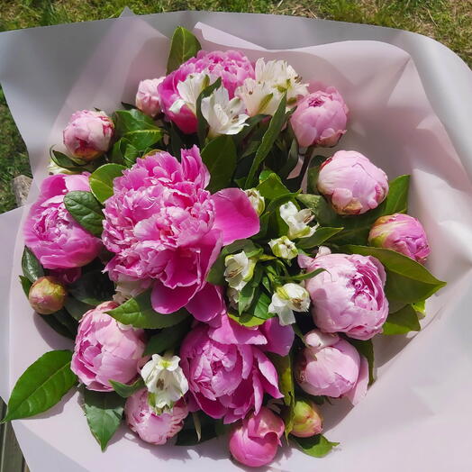 Pink peonies bouquet