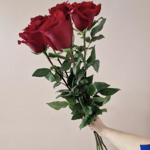 5 red Naomi roses