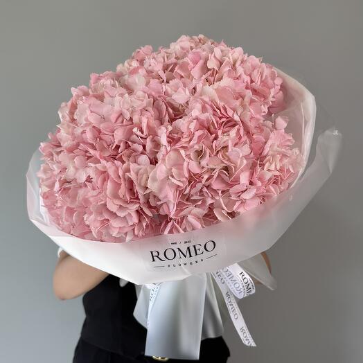 Моно гортензии