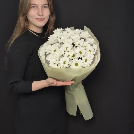 Стильная леди s