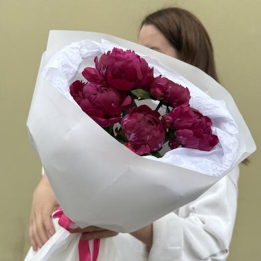 Пионы бордовые 5 шт