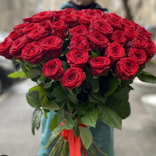 Красные ароматные розы 51шт ароматные