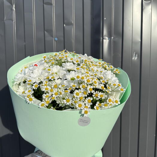 Ромашки ромашки