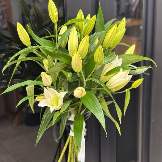 Монобукет 5 белой лилии