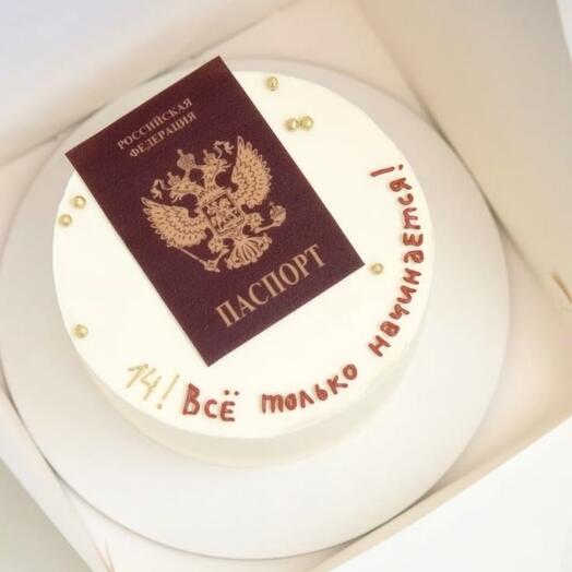 Бенто паспорт 14 лет