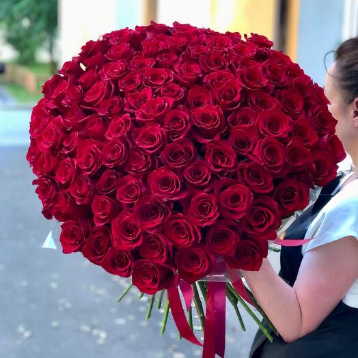 101 Красная Роза премиум Bella Rosa
