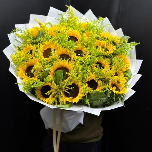 Подсолнух 🌻